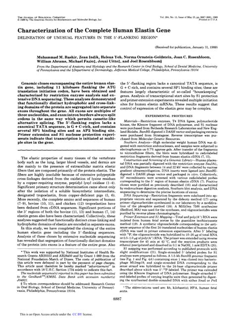 (PDF) Characterization of The Complete Human Elastin Gene