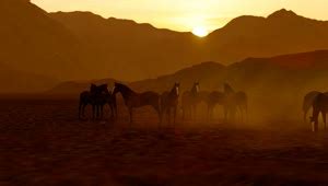 Free Stock Video Wild Horses Grazing Near A Mountain Range Live Wallpaper - DesktopHut