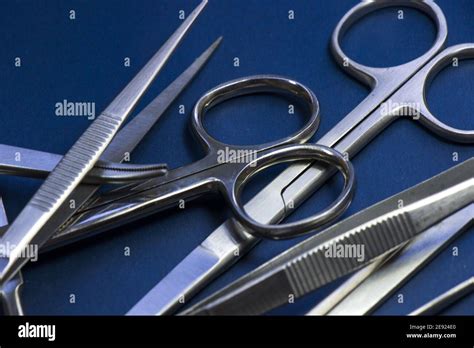 Dissecting Forceps Hi Res Stock Photography And Images Alamy