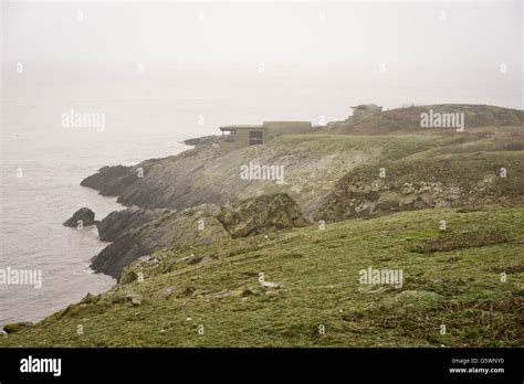 A general view on Flat Holm island in the Bristol Channel. Flat Holm ...