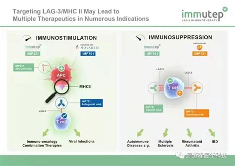 首个靶向lag 3分子的抗肿瘤免疫疗法问世 纳米抗体抗体库体亲和力成熟抗体人源化骆驼抗体酵母抗体库噬菌体抗体库兔单克隆抗体 源道隆
