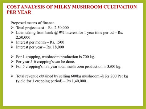 Milky mushroom cultivation process and its cost analysis | PPTX
