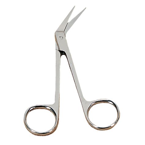 Dissecting Scissors Carolina Biological Supply