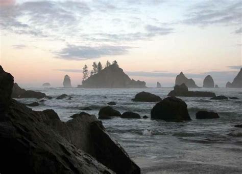 La Push Beach - Alchetron, The Free Social Encyclopedia