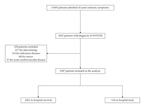 The Flow Diagram Nstemi Non St Segment Elevation Myocardial