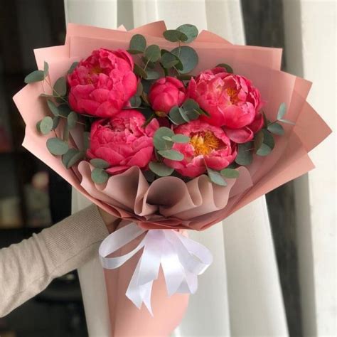 Купить нежный букет коралловых пионов с эвкалиптом по доступной цене с ...