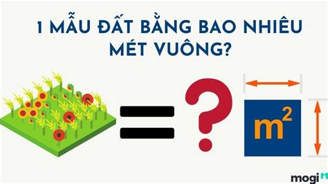 Điều gì định nghĩa 1 mẫu đất bằng bao nhiêu m2 Tìm hiểu ngay