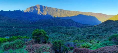 La Plaine des Tamarins Carte de La Réunion