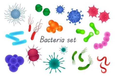 Bacteria And Germs 3d Realistic Set Bundle Of Different Types Of