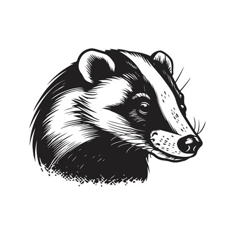 badger, vintage logo concept black and white color, hand drawn ...