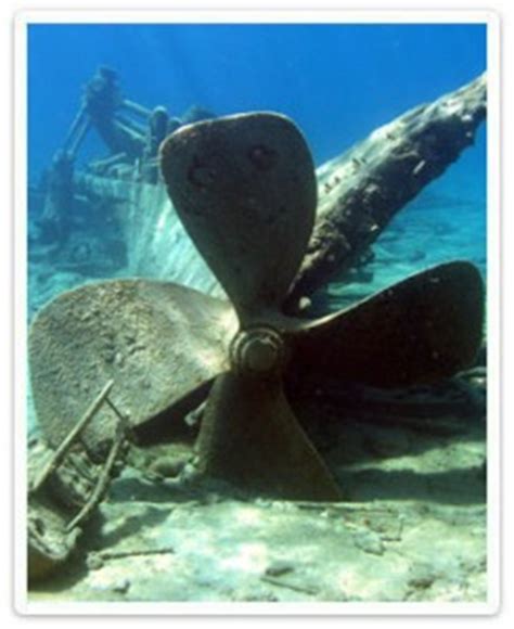 Invasive Species Threatening Historic Michigan Shipwrecks Great Lakes