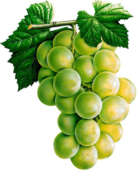 Grape Png Image