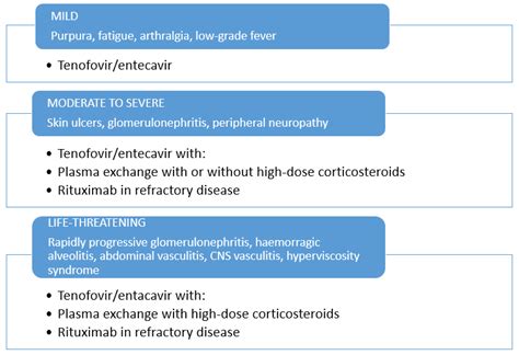 Viruses Free Full Text Hepatitis B Virus Related Cryoglobulinemic Vasculitis Review Of The