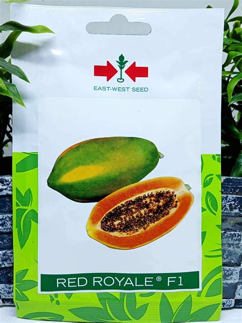 Red Royale F1 Papaya Asenso Pack 100 Seeds East West Seed