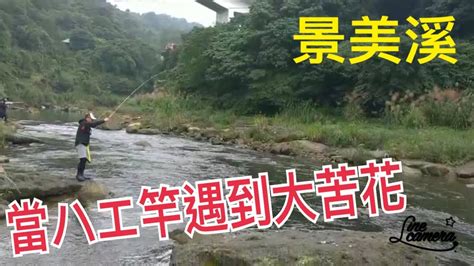 Creek Fishing In Taiwan 美麗的邂逅當石賓釣組遇到大苦花 Youtube