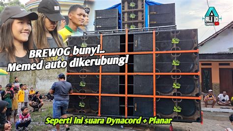 Brewog Dibunyikan Seperti Ini Horegnya Dynacord Planar Brewog