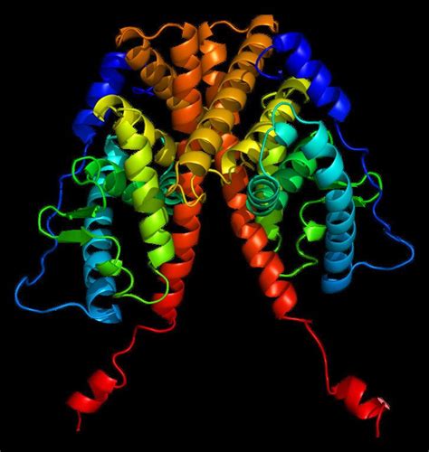 Estrogen receptor alpha - Alchetron, the free social encyclopedia