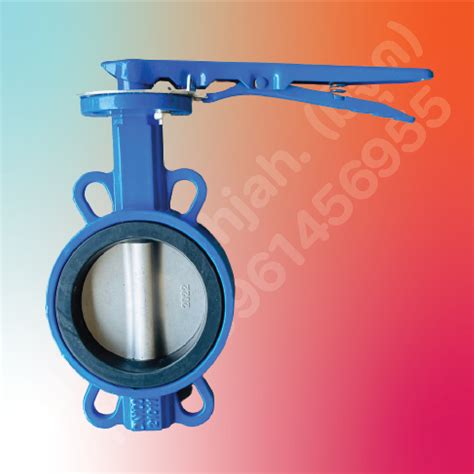 Butterfly Valve Cast Iron Cf Ss Epdm