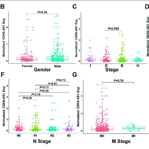 The Relationship Between Cdk6 As1 Expression And Clinical Features