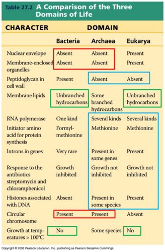 Chapter Classification Of Microorganisms Questions Flashcards Quizlet