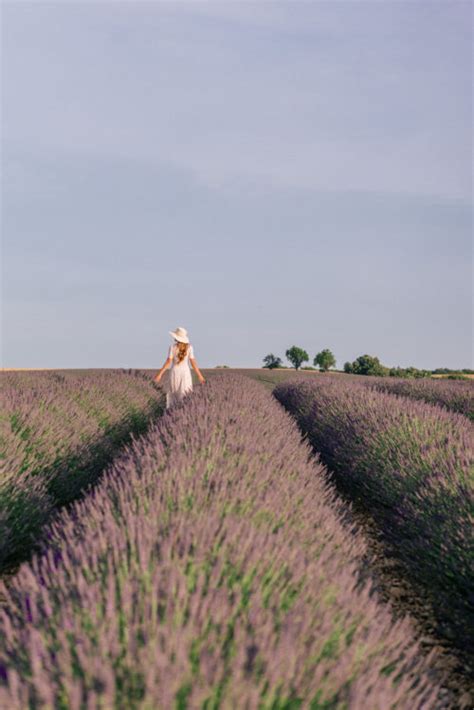 Moustiers-Sainte-Marie, Gorges Du Verdon & Lavender Fields - Julia ...