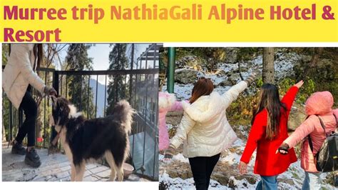 Murree Trip Murree Vlog Muree Live Snowfall Muree Nathiagali