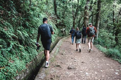 Levada Dos Balcoes Viewpoint In Madeira A Complete Guide