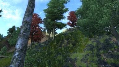 Ruined Ramparts Of Skingrad At Oblivion Nexus Mods And Community