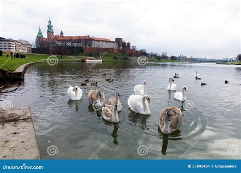 Poland, krakow, castle stock image. Image of castle, polish - 39892401