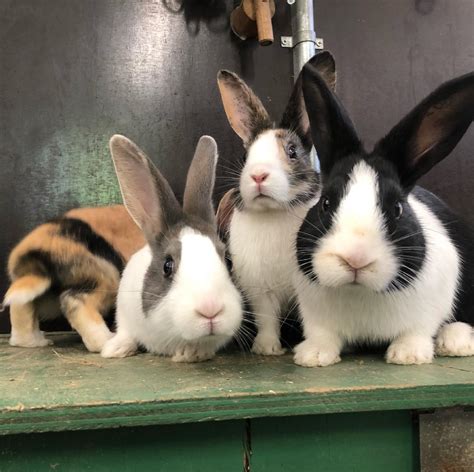 radsparken radsparken added   photo