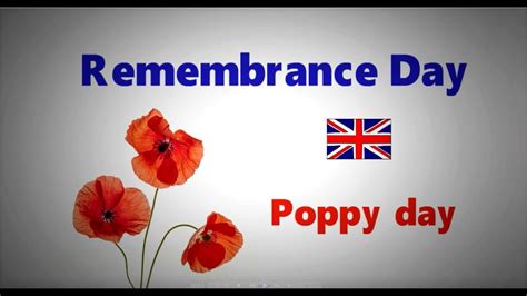 What Does Remembrance Day Or Poppy Day Mean In The Uk Why Do People