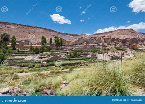 Oasis In Atacama Desert Stock Image | CartoonDealer.com #10702225