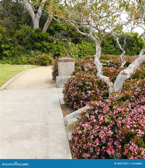 Walkway With Blooming Bushes Along Side Laguna Beach Trip Stock Image