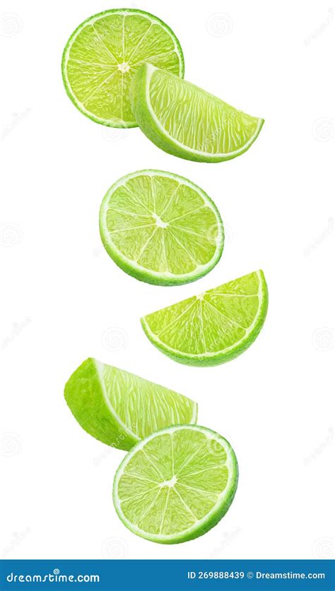 Lime Fruit Slices Levitation Isolated on White Background Stock Image - Image of flying, green ...