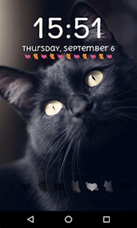 Cute Cat Lock Screen Passcode Pattern Cute Cat для Android — Скачать