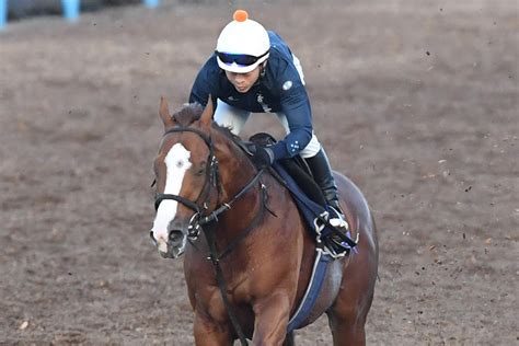 【スプリンターズs追い切り】春王者ナランフレグは絞れて軽快な動き 宗像調教師「時計が速くなったときの対応がカギ」 競馬ニュース・特集なら東スポ競馬