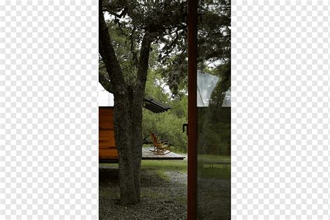 Tree Window Landscape Wood M Vt Tree Outdoor Structure Landscape