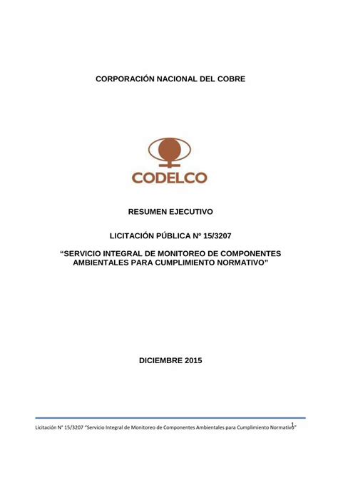 PDF RESUMEN EJECUTIVO LICITACIÓN PÚBLICA Nº PDF fileCon lo anterior