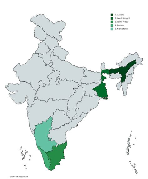 Locate And Shade Major Tea Producing States In India On A Political Map