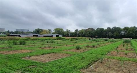 Start Agros Bedrijven En Wur Optimaliseren Agro Ecologie Met Techniek