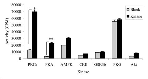 As Is Phosphorylated By Pkcα And Pka A In Vitro Kinase Assays Gray