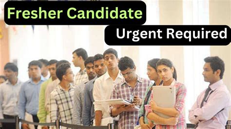 Fresher Candidate Required October 2023 New Jobs Opening For Fresher