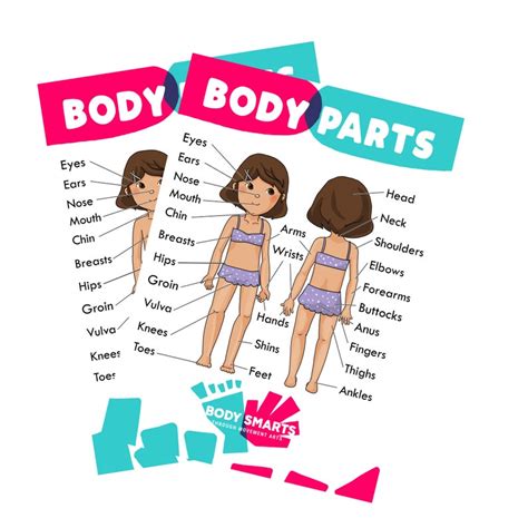 Anatomy Body Safety Education Poster Printables Female Etsy Singapore