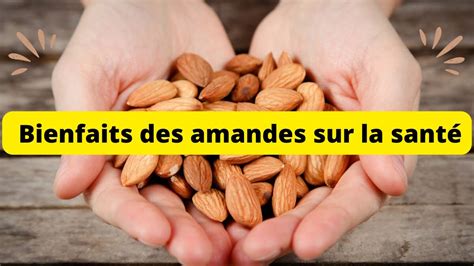 Bienfaits des amandes des avantages étonnants YouTube