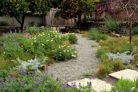 How to create a wild, naturalistic style garden | Total Landscape Care