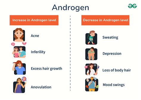 Androgen Hormone - Function, Types, Production, Androgen vs ...