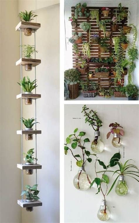 Ideias Para Decorar Plantas Penduradas Como Fazer Em Casa