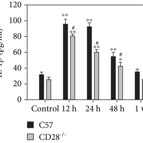 Inflammation And Expression Of CD28 Increased In The Lung After Blast