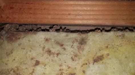 Fixing various problems with attic insulation | DIY Home Improvement Forum