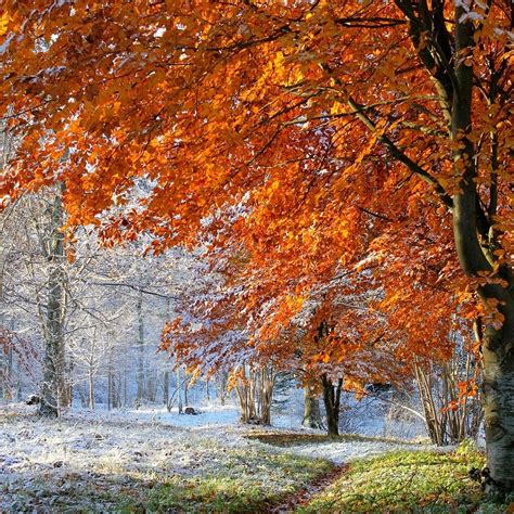 weatherworks  weather experts